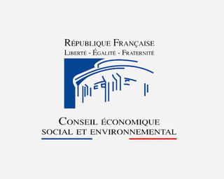 conseil-economique-et-social-et-environnementaljpg